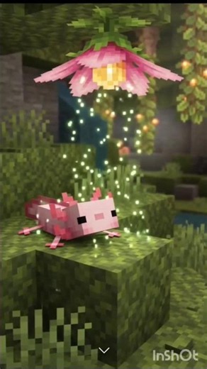 | 🌸💫Every Minecraft Biome Looks Magical with Shaders 🌸💫 | Aesthetic Minecraft Shorts