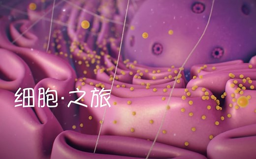 【细胞之旅】细胞内部的深度游览