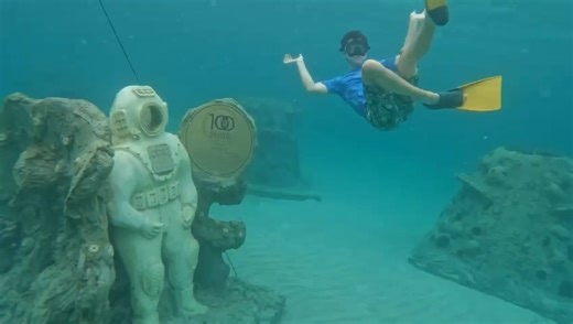 Underwater video of the new 1000 Mermaids reef modules off Hollywood Beach 🧜🏾‍♀️🐠🐟🤿 - Cat Uden | Hollywood Beach TV