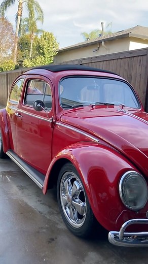 16K views · 787 reactions | This red Beetle’s engine is so beautiful  #beetle #cars #automotive #carlovers #classiccar #oldcars | Rust is NOT a Crime | Facebook