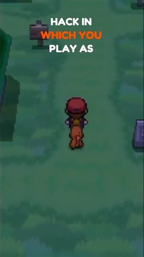 This Is The Best NDS Rom Hack Of 2025-26 to play!