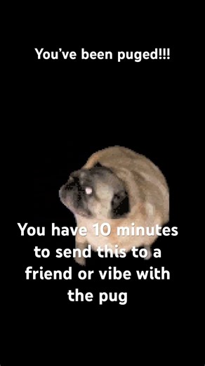 You’ve been puged!!!pt2