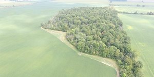 Digital tools simplify management decisions as farms grow