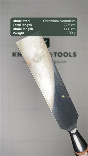 Narex Richter Bevel Edge Chisel 815025, chisel, 25 mm
