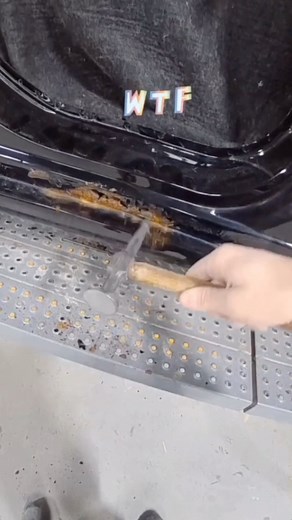 Rust on a 2016? Check out the full length video of this rusty mess just dropped on my Facebook & Instagram channels! #rust #rusty #rustrepair #autobody #collisionrepair #bodywork #bluecollar #automechanic #automotive #autobodylife #bodyshop #autobodyrepair #mechanic #worklife #autobodytech #collision #autorepair #autorepairshop #CollisionRepair #collisiontech #autocollision #bodyshoplife #Bodywork #accident #AutoCollision #AutoRepair #autoaccident #oddlysatisfying | BluecollarKyle