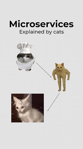 Understanding Microservices Architecture Through Cats