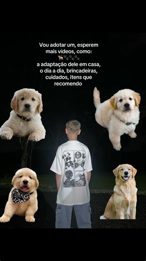 #goldenretriever #pisci #fyp #goldinhodotiktok #estadosunidos🇺🇸 • • • Se você gosta de cachorro, principalmente Golden, já fica por aqui 🦮🐾🐾🐾🐾🤍👌 Segue o perfil pra acompanhar essa nova fase comigo e com o meu goldinho OBS:vai chegar provavelmente em março ou fevereiro