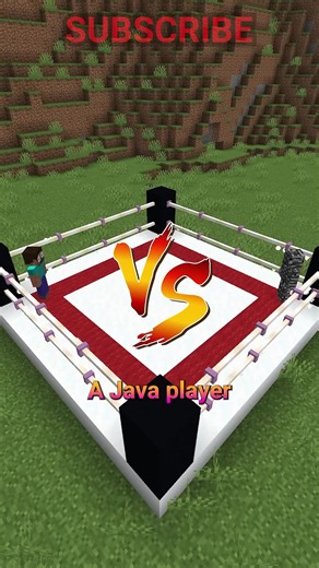 Bedrock player vs Java player?