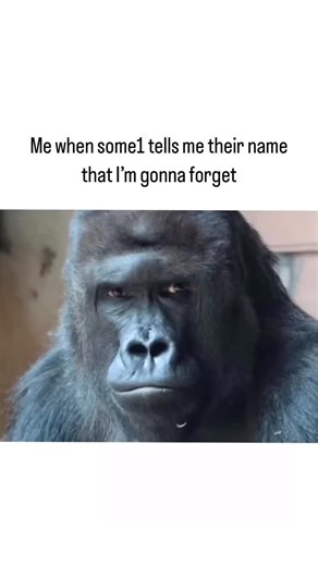 Are you forgetful? Tag your forgetful friend! #danielcurtislee #ape #funny #meme #forgetful #iforgot #whatsyourname #remember #remindme #names