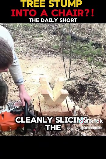 Transforming Tree Stumps into Stunning Chairs