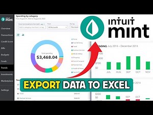 How to Export Mint Data to Excel 2025?
