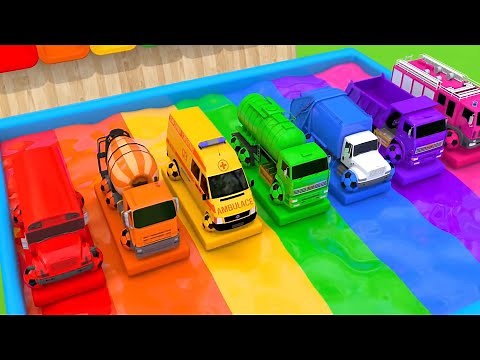 Con cào cào, Quả bóng tròn tròn - Ca nhạc thiếu nhi xe ô tô hoạt hình màu sắc xe xúc xe cẩu