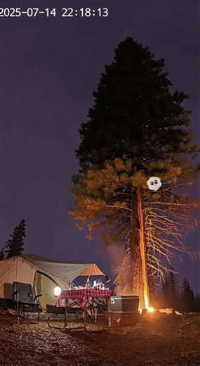 #Lightning Strikes Tree at #Campsite ⚡🌲 | #shorts