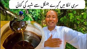 Toddy Honey Harvesting From Deep Jungle In Sri Lanka | Sri Lankan Honey | Arrack | Village Cooking | Village Food Secrets