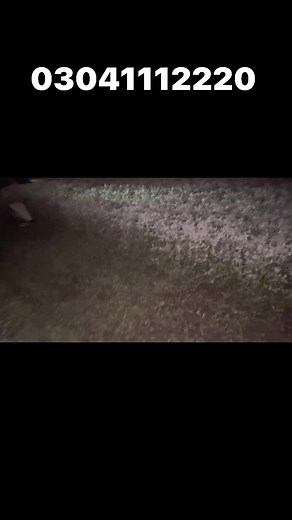 FODDER HARVESTING PROBLEM SOLVED 🐄🐏🆗 | Soby Agro Machinery