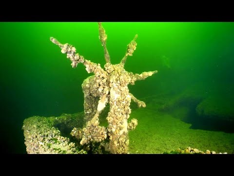 Diving Shipwrecks and Aquariums - Exploring Lake Champlain and Denver's Underwater Worlds