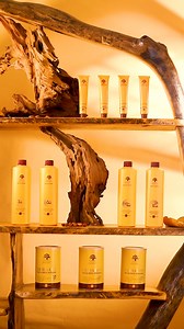 Experience the magic of our NEW Color Collection! 🔒 Infused with Moroccan Argan Oil, it's not just about color, it's about nourishing, locking in moisture, and refreshing that vibrant shade. Give your hair the energy it deserves. 💫 #ARGANMIDAS #ColorLock #MoroccanArganMagic #HairNourishment #VibrantColor #HealthyLocks #HaircareMagic #ArganOilLove #HairProtection #SalonQuality #HairGoals | ARGANMIDAS