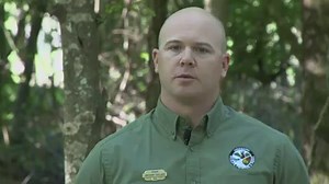 On this segment from the latest season of Mississippi Outdoors TV, we took a look at wild hog control efforts taking place in Mississippi. Keep up with the latest episodes of Mississippi Outdoors TV and Mississippi Outdoors Radio by subscribing to our YouTube channel at https://www.youtube.com/c/mdwfponline. | Mississippi Department of Wildlife, Fisheries, and Parks