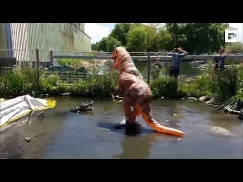 Flute meme compilation 2019