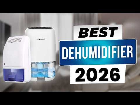Top 5: Best Dehumidifier for 2026