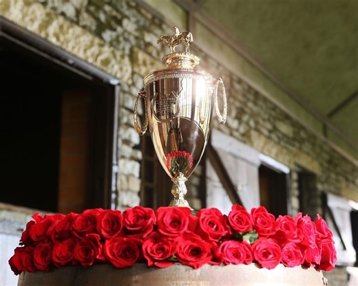 Get to know the 2025 Kentucky Derby contenders | BRISnet.com Trusted Data & More