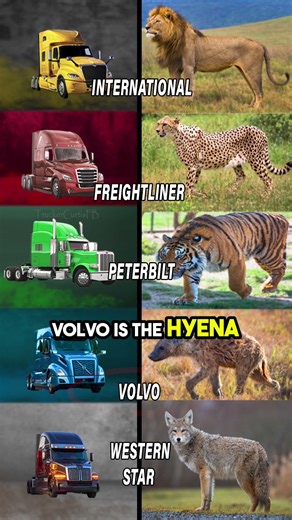 If Trucking Brands Were Animals Today