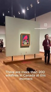 In Canada, a climate change advocate defaced a Picasso artwork at the Montreal Museum of Fine Arts with pink paint while expressing concerns about wildfires. #ClimateAction #ArtProtest | Fine Art Connection
