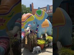 CAROWINDS 2022 WALK AROUND THE PARK