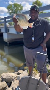 Slabs under the bridge! #fisherman #fishing | Everett Mathis Jr.