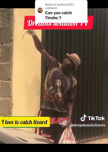 Lizard Training on TikTok: Meet the Lizard Girl!