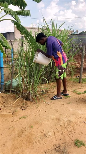 Funny Moments with Chester Cheetah