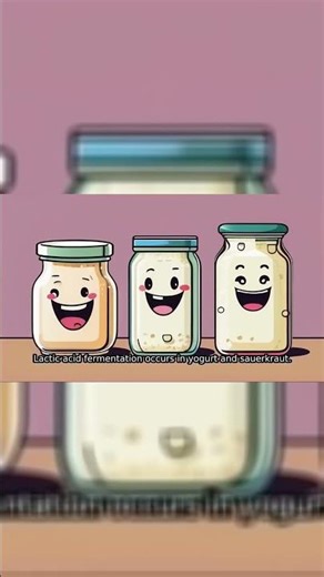 The Chemistry of Fermentation: Unlocking Nature’s Process