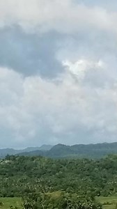 2K views · 11 reactions | Which among the following is the broadest level in the taxonomic hierarchy? #FutureLPT #ProfessionalEducation #Padayon | Your LET Reviewer | Facebook