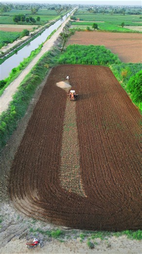 Agriculture So Amazing Video 🌾🚜🌱 #shorts #shortsfeed #farming