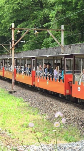 黒部峡谷トロッコ列車機関車重連