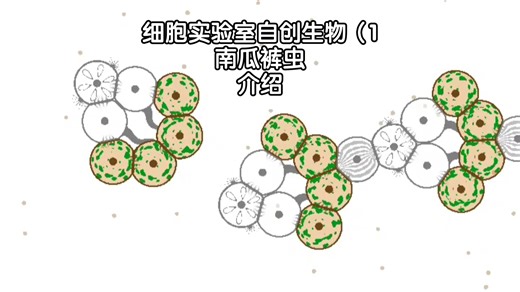 Cell Lab(细胞实验室)南瓜裤虫介绍（自创）