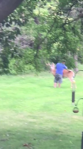 you don’t see this everday #XinfraredT2pro #Xinfrared #thermalhunting #hunting #thermalcamera