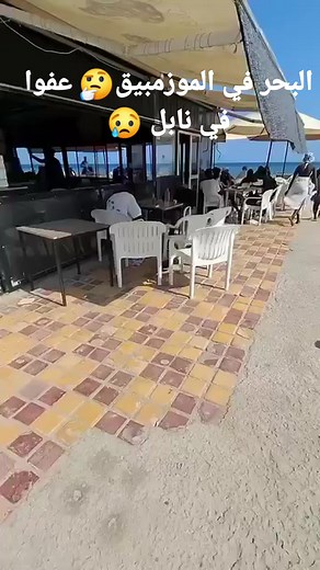 10K views · 81 reactions | Neji Lassaad on Reels | Facebook