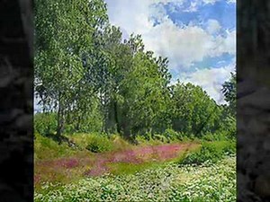 Var blev ni av, ljuva drömmar? - - - Monica Zetterlund