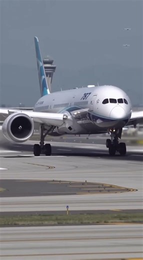 Boeing 787 Dreamliner Perfect Landing Caught from Runway Edge ✈️