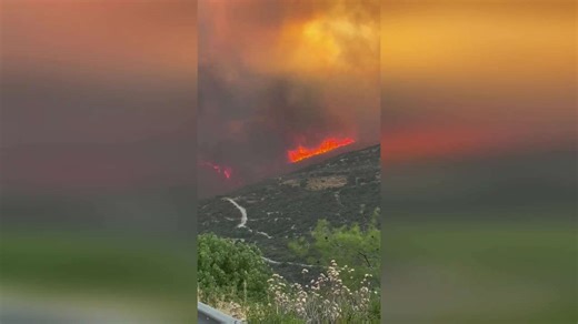 Tourists and locals evacuated as massive wildfires threaten villages in Cyprus