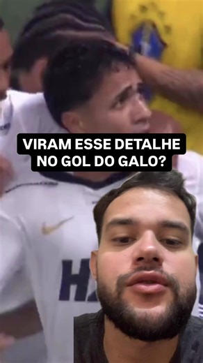 Galo Atlético Mineiro: história, torcedores e curiosidades