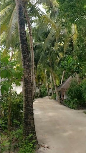 W Maldives: Beach Villas & Island Views | 2025 #maldivesresorts #maldivesisland #maldivestravel