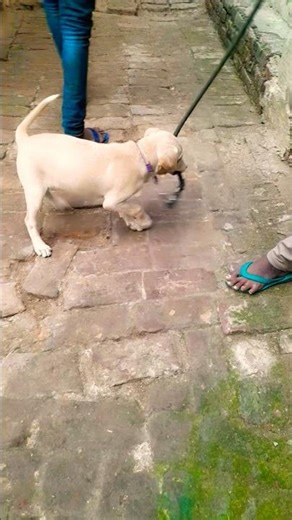 Ruby exercise #ytshorts #viralvideo