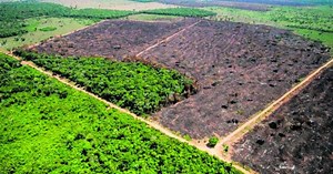 Apesar de queda, desmatamento segue como desafio na Amazônia