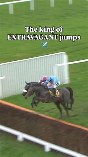 Sad to hear that Un De Sceaux has passed away in retirement ☹️
