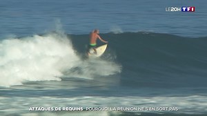 Attaques de requins : pourquoi La Réunion ne s'en sort pas ?