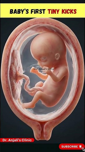 10 Week Fetus Movement in Womb