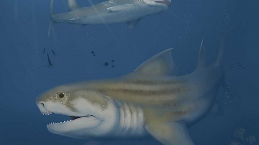 Two new species of shark discovered at Kentucky's Mammoth Cave National Park