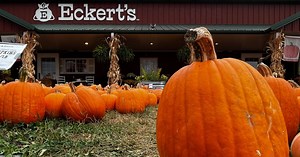 Eckert's Orchard offering fun for the whole family